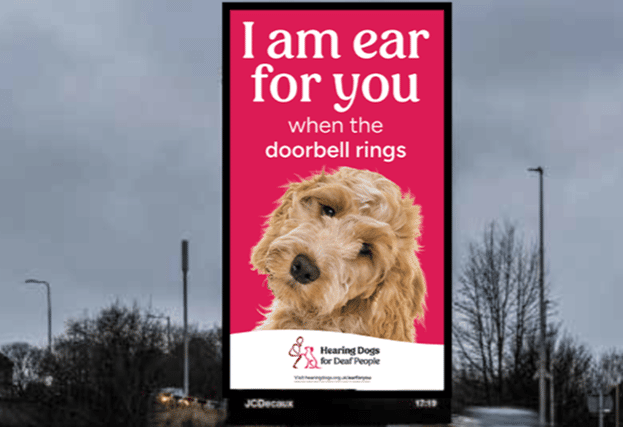 The new Hearing Dogs campaign comes to Leeds