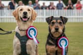 Agria Fun Dog Show at DogFest on the Farm