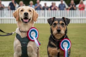 Agria Fun Dog Show at DogFest on the Farm