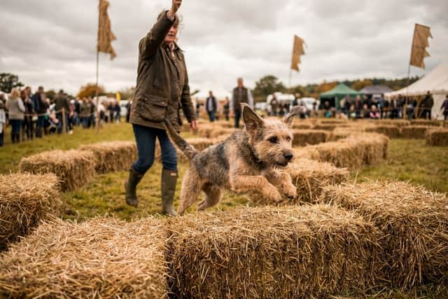 Hay Bale Hurdles at DogFest on the Farm