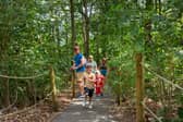 Stockeld Park Summer