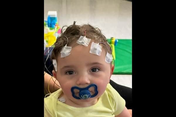 Teddy having treatment in hospital