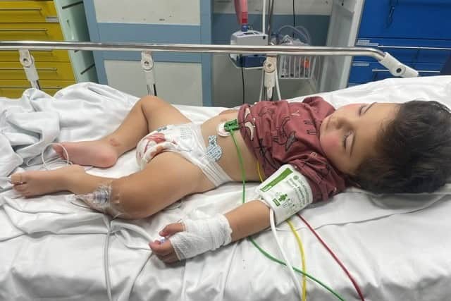 Teddy in hospital after having a seizure