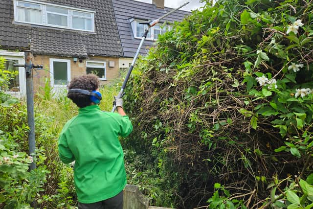 WiSE has maintained more than 300 gardens this year so far. 