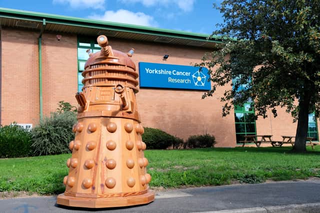 Martin's creation is set to be auctioned ahead of the 2027 Yorkshire Cancer Research Gala Dinner fundraising event