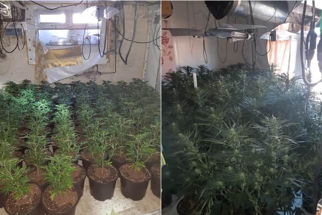 A cannabis farm found by officers in Leeds. Photo provided by West Yorkshire Police Leeds East team.