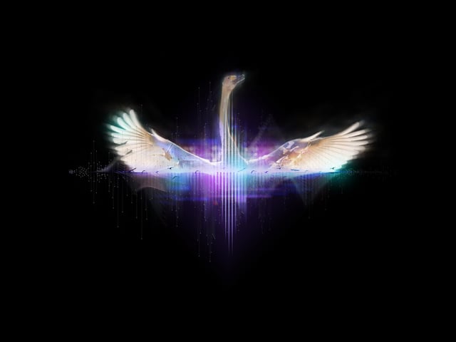 Swan Song, St John the Evangelist Church and Gardens. Step into a symphony in St Johns Churchyard as the trees come alive in music, birdsong and light.