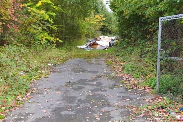 Residents have reported dumped rubbish including a caravan full of rubbish and the pictured mixed load from a house renovation