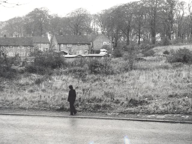 The plot of land at Limewood Approach which was being inspected with a view to improvement.