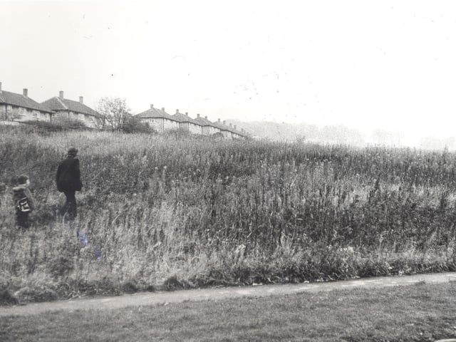 The Rein off Kentmere Avenue.