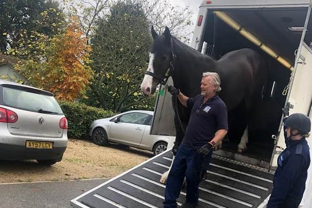 Former West Yorkshire Police horse Bud, who was famously punched by a football fan in a clash in Newcastle, has retired to stables in the Chilterns. Picture: The Horse Trust