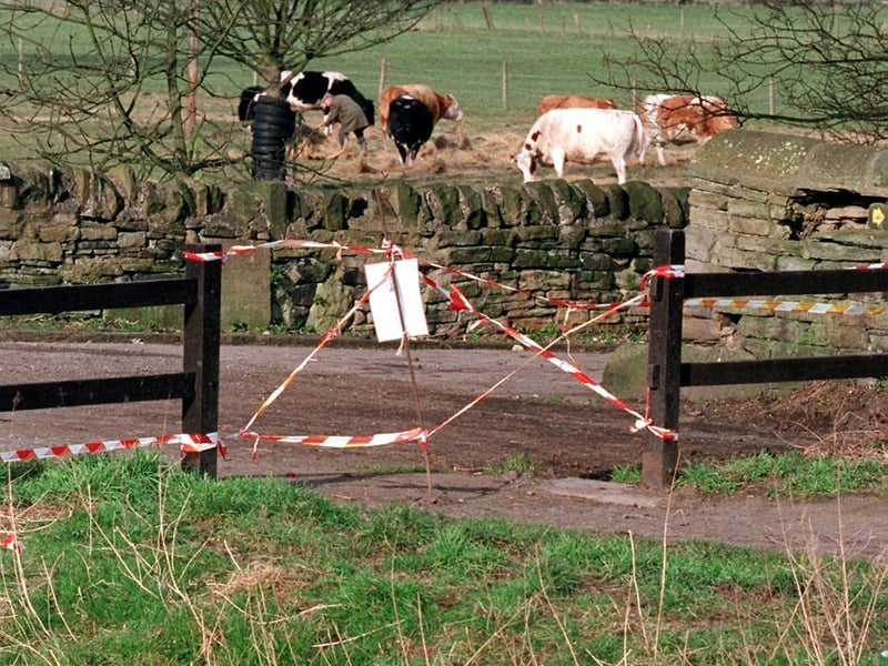 March 2001 and the towpath on the Leeds Liverpool Canal was shut to walkers due to the foot and mouth epidemic.