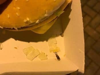 Louise Samuels found a dead earwig in her McDonald's burger, which she purchased from the branch at Cardigan Fields, Kirkstall