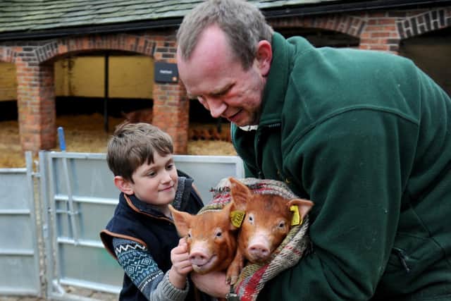 Temple Newsam farmer Robert Bradley with son Kian, eight, and the pigs born in time for Christmas