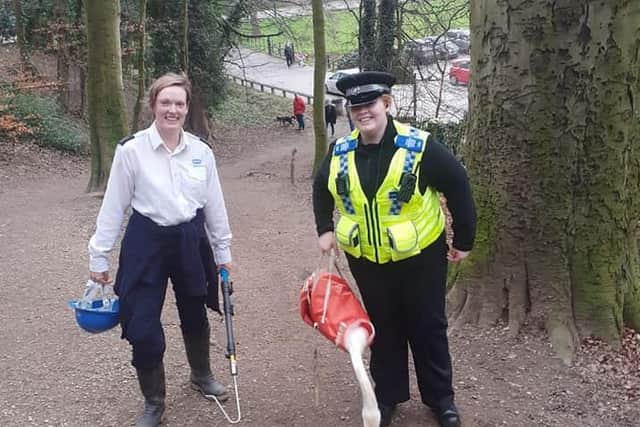 Swan rescued from Waterloo Lake at Roundhay Park. Picture: West Yorkshire Police/Leeds North East Police