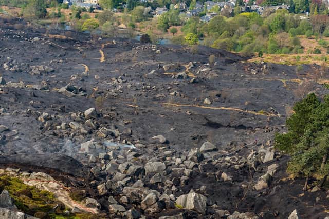 Devastation left by fire at Ilkley Moor in April 2019