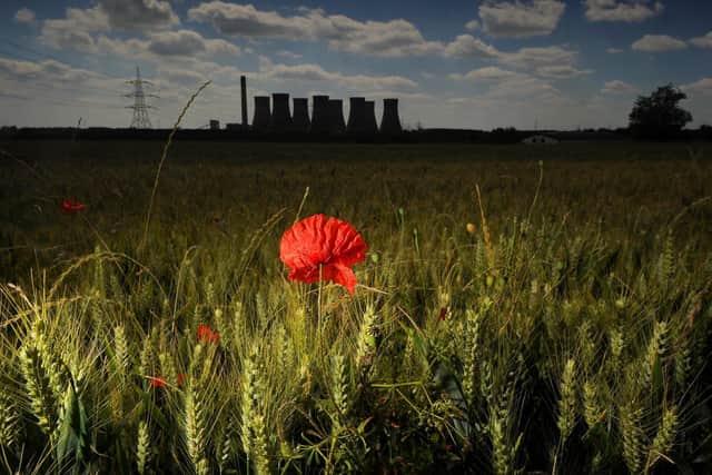 A lone poppypictured by Eggborough power station.
Picture: Simon Hulme