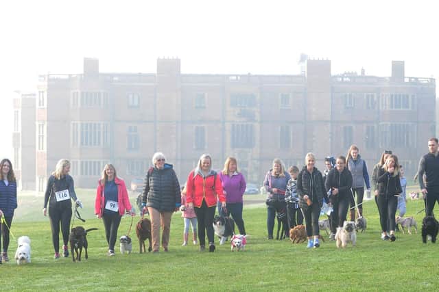 Bark in the Park at Temple Newsam has been cancelled