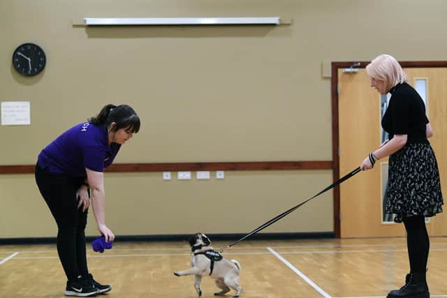YEP Editor Laura Collins with Clyde listening to puppy trainer Becky Ellis.