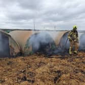 Peckish pigs caused a fire on a farm near Leeds this weekend. Credit: NYFRS