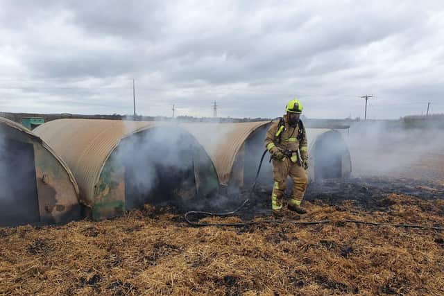 Peckish pigs caused a fire on a farm near Leeds this weekend. Credit: NYFRS