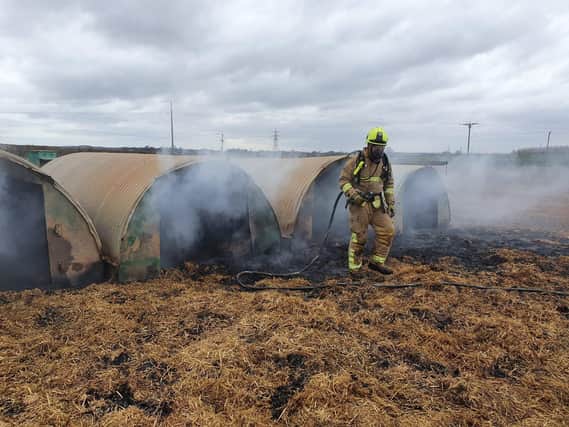 Peckish pigs caused a fire on a farm near Leeds this weekend. Credit: NYFRS