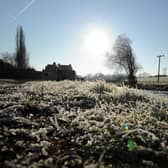 Frosty grass by the Leeds Liverpool Canal at Rodley.