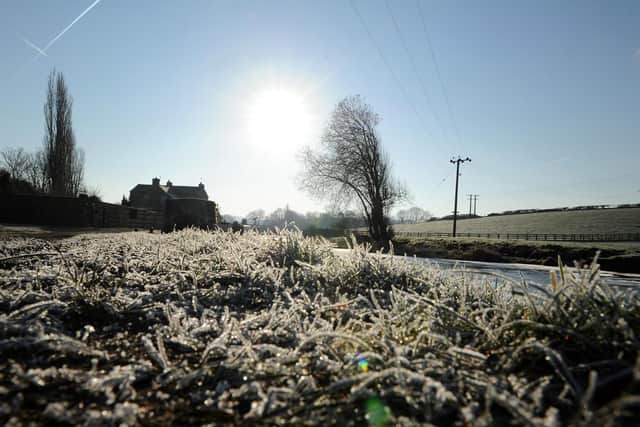 Frosty grass by the Leeds Liverpool Canal at Rodley.