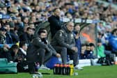 Marcelo Bielsa is up for an award for Leeds United's February record