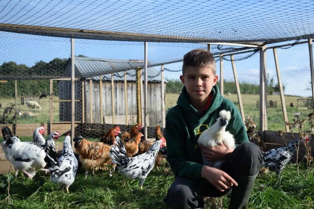 Jack Hogg, eight, who likes to keep chickens. Picture: Daisybeck Studios.