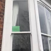 The street have posted green cards in their windows cc Beth Crompton