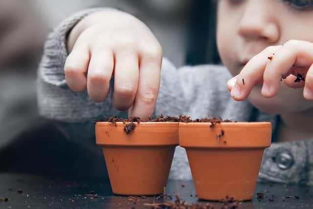 On March 20, all schools and nurseries across the UK closed until further notice in a bid to stop the spread of coronavirus. Photo credit: mahony/ stock.adobe.com