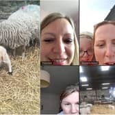 A video grab of Rachael Caton's friends watching a lamb being born whilst on a video chat. The lamb was later given the name Zoom after the name of the video chat app.