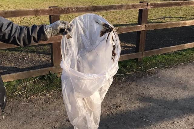 Staff at Hope Pastures in Meanwood were upset to find the lantern in a field (Photo: @HopePastures)
