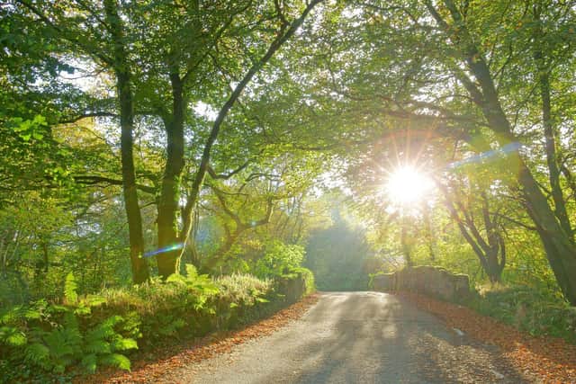 Blazing sunshine will sizzle Leeds this week - but stay home