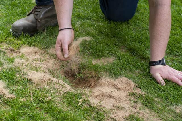 One of the Headingley Stadium fox holes. Picture by Tony Johnson.