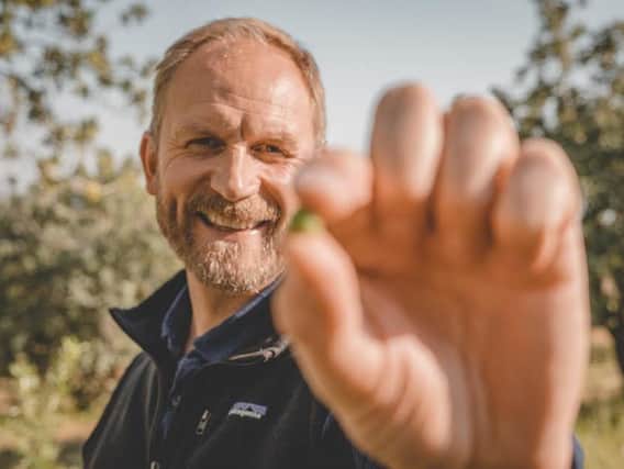 Meatless Farm's founder Morten Toft Bech picking peas for the new range