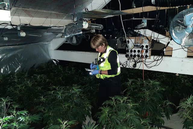 Officers discovered the large-scale cannabis operation in an industrial building in Bankgate Mills in Slaithwaite, Huddersfield.
