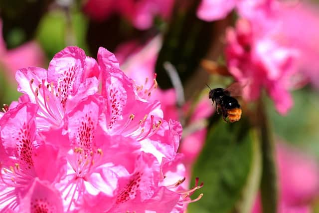 Garden Centres