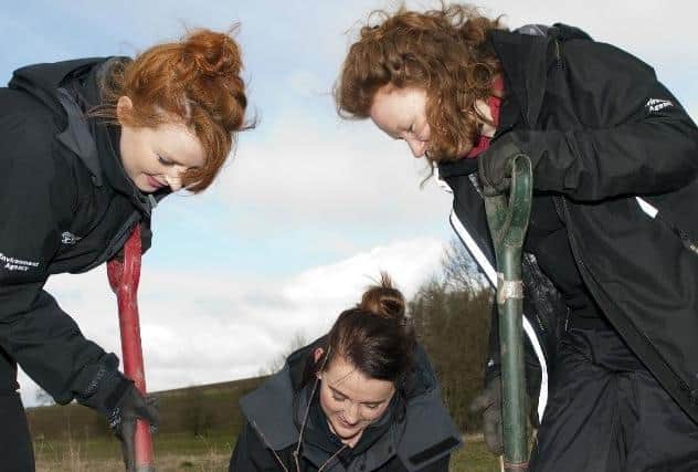 More than 300,000 trees are to be planted in the River Aire catchment area to help reduce flood risk.