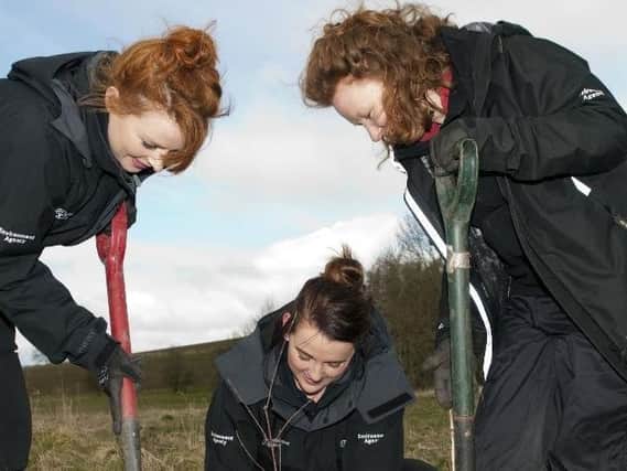 More than 300,000 trees are to be planted in the River Aire catchment area to help reduce flood risk.