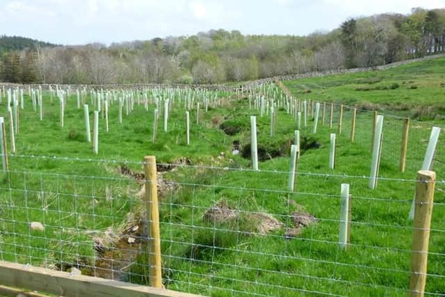 A successful bid for 700,000 has been awarded toLeeds City Councils Flood Alleviation Scheme.
