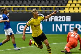 GOLDEN BOY - Erling Haaland of Borussia Dortmund celebrates scoring his team's first goal during the Bundesliga match between Borussia Dortmund and FC Schalke 04 at Signal Iduna Park. Pic: Getty