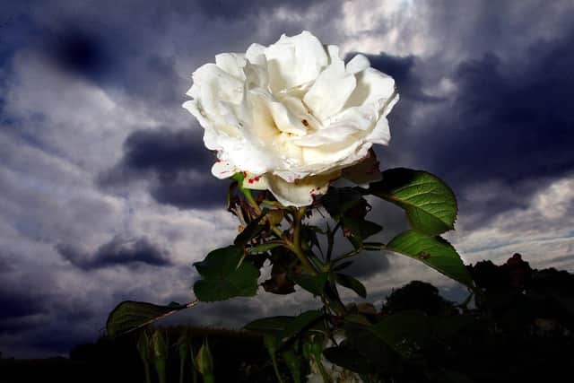 A new think-tank for the county has been formed called Policy Yorkshire.