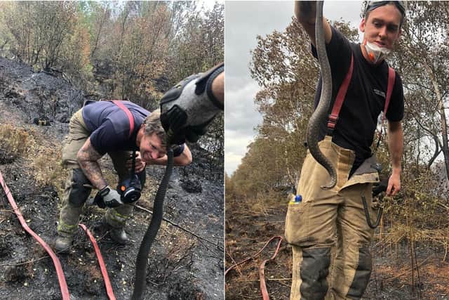 Firefighters from the Skelmanthorpe Fire Station found the snake on a West Yorkshire moorland. Photo: WYRFS