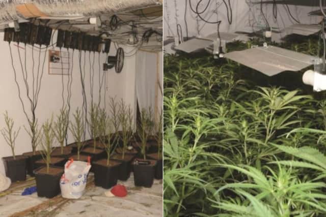 Police uncovered a large cannabis grow in east Leeds (Photo: WYP)