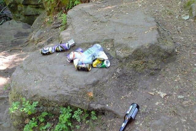 Beer bottles left at the waterfalls
