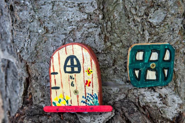 One of the fairy doors created by sisters Charlotte and Sheree Smith at Rodley Park. Picture: Bruce Rollinson
