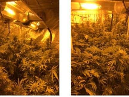 The cannabis farm was found in Harehills (photo: West Yorkshire Police).