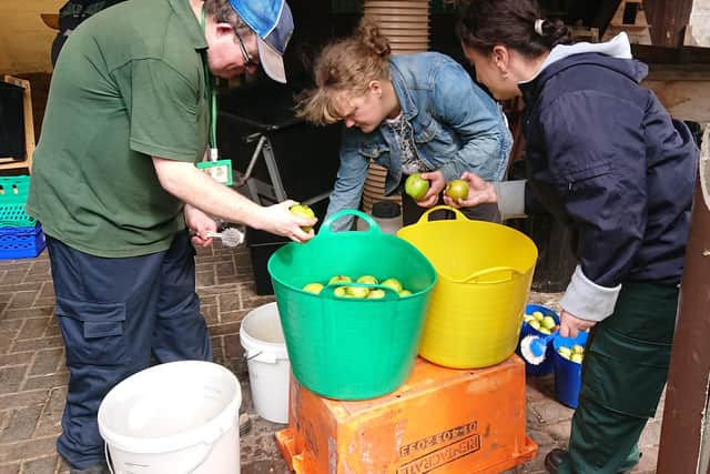 Apple juice making at the farm is just one of the many activities it does.